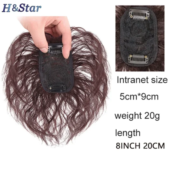 H&STAR 8Inch Synthetic Clip In Hair Extension Short Curly Toupee Hairpiece for Women With Thinning Hair Increase Hair Volume