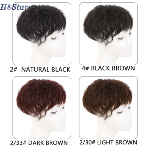 H&STAR 8Inch Synthetic Clip In Hair Extension Short Curly Toupee Hairpiece for Women With Thinning Hair Increase Hair Volume
