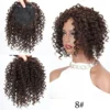 Synthetic Short Afro Curly Hair Toppers Brown Blonde Mixed Color Hair Toupee Hair Piece For Women and Men Increase Hair Volume