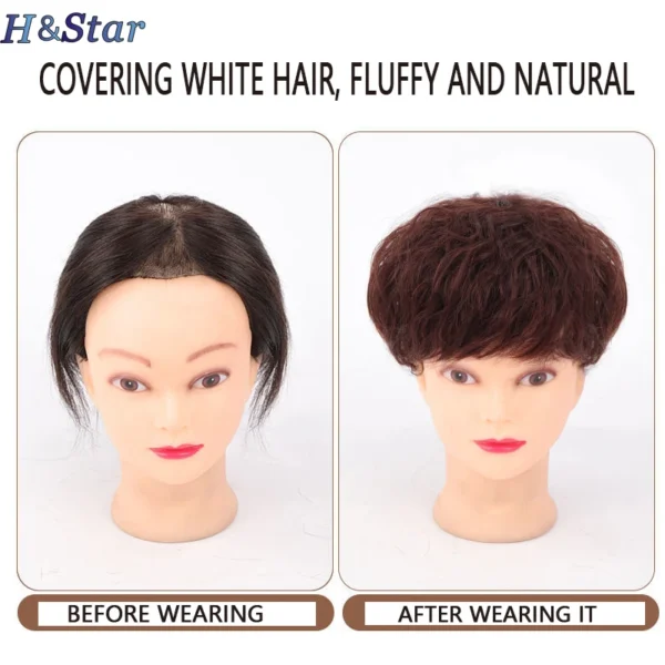 H&STAR 8Inch Synthetic Clip In Hair Extension Short Curly Toupee Hairpiece for Women With Thinning Hair Increase Hair Volume