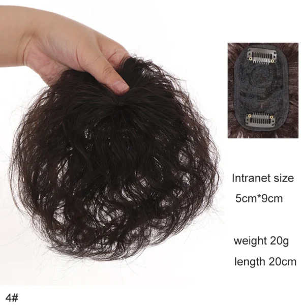 H&STAR 8Inch Synthetic Clip In Hair Extension Short Curly Toupee Hairpiece for Women With Thinning Hair Increase Hair Volume