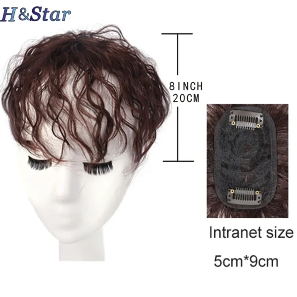 H&STAR 8Inch Synthetic Clip In Hair Extension Short Curly Toupee Hairpiece for Women With Thinning Hair Increase Hair Volume
