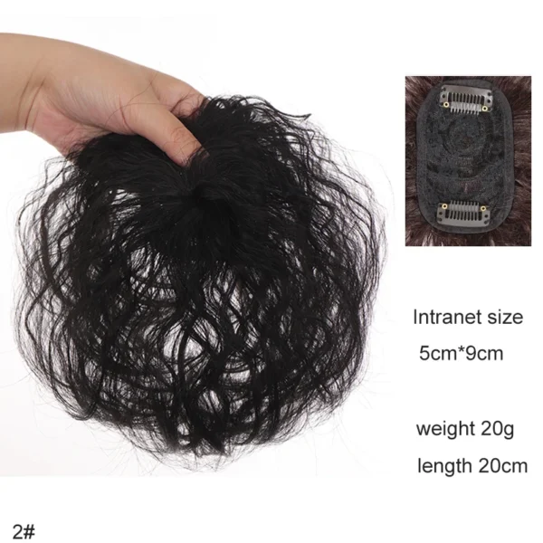 H&STAR 8Inch Synthetic Clip In Hair Extension Short Curly Toupee Hairpiece for Women With Thinning Hair Increase Hair Volume